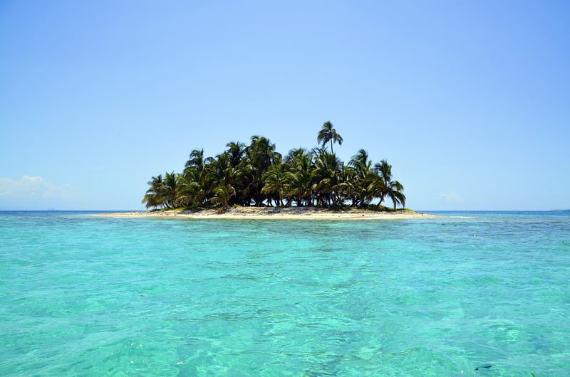 Tropical Paradise